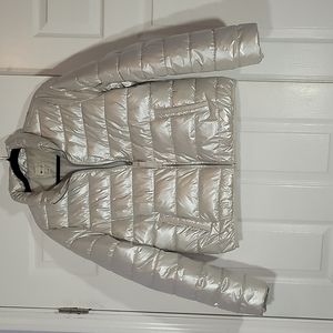Stylus light silvery puffer